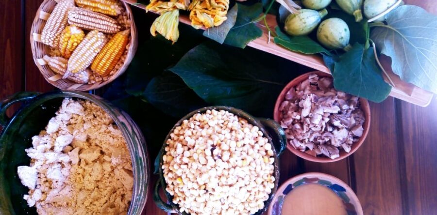 Cocineras tradicionales de Oaxaca comparten sus conocimientos para preparar tamales, un platillo de celebración