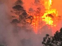 Incendios, acción terrorista de invasores de tierras en Oaxaca: Alfredo Martínez de Aguilar