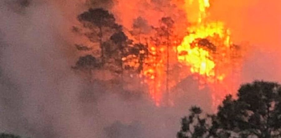 Incendios, acción terrorista de invasores de tierras en Oaxaca: Alfredo Martínez de Aguilar