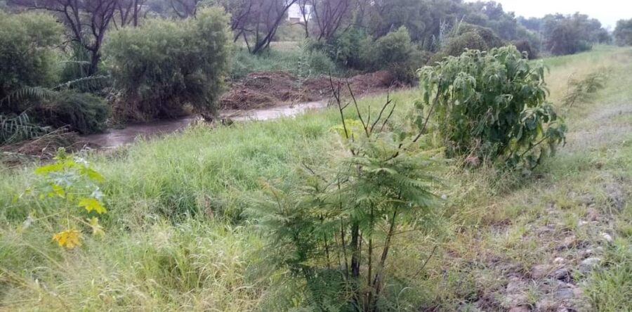 Denuncian el ecocidio en las Riveras del Atoyac