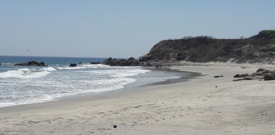 Continua veda sanitaria por Marea Roja en costas del Istmo: SSO