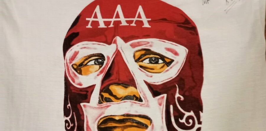 Avilés despierta al PRI y va por voto útil y enojado en Morena: Alfredo Martínez de Aguilar