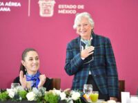 Olga y la increíble y triste historia de un florero antifeminista en Segob: Carlos Ramírez