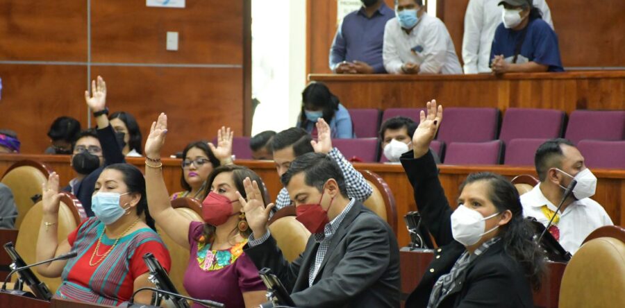 Plantea presidenta de Jucopo sancionar con cárcel delitos contra el medio ambiente en Oaxaca