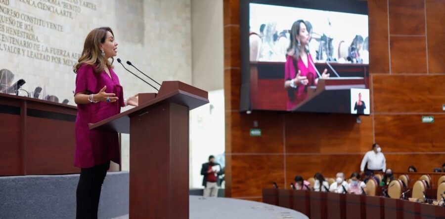 Se requieren presupuestos con perspectiva de género para garantizar los derechos de las mujeres : Mariana Benítez Tiburcio
