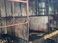 Se incendia el mercado de Juchitán de Zaragoza