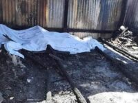 Muerte de los 6 menores de edad en Coicoyán de las Flores, fue accidental