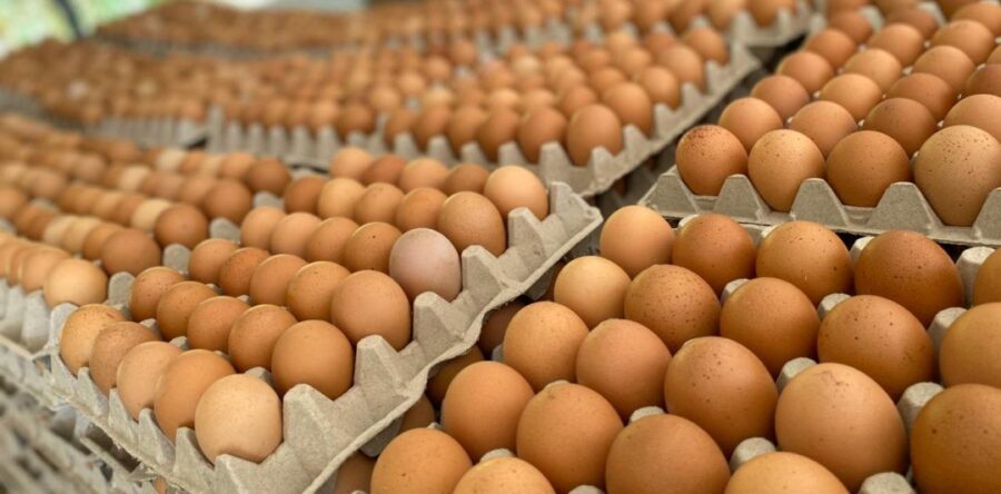 Gripe aviar y guerra en Ucrania hacen subir el precio del huevo en el mundo