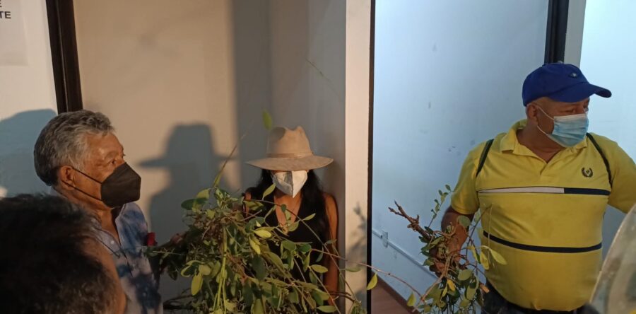 Protestan ambientalistas en el Palacio Municipal de Oaxaca de Juárez