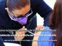 El informe del panorama sobre COVID-19 en Oaxaca será semanal: SSO