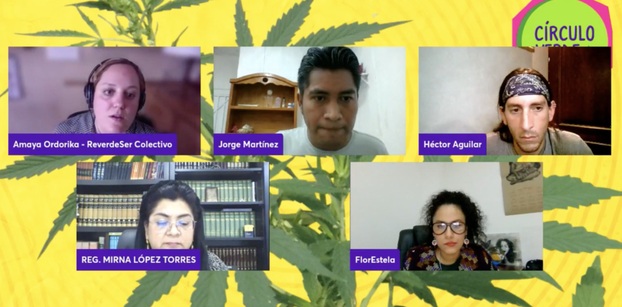 Mirna López Torres propone regular el consumo de cannabis en espacios públicos