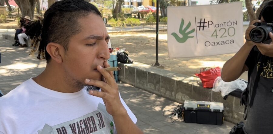 Oaxaca capital: el aparente progresismo municipal respecto a la mariguana, es un engaño: Adrián Ortiz Romero Cuevas