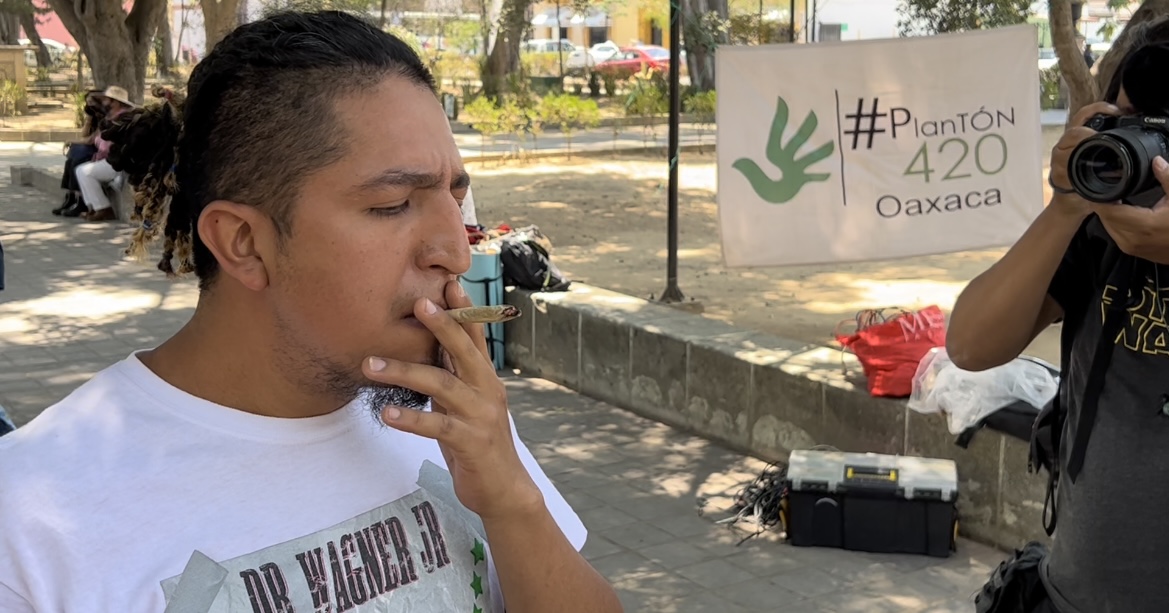 Oaxaca capital: el aparente progresismo municipal respecto a la mariguana, es un engaño: Adrián Ortiz Romero Cuevas