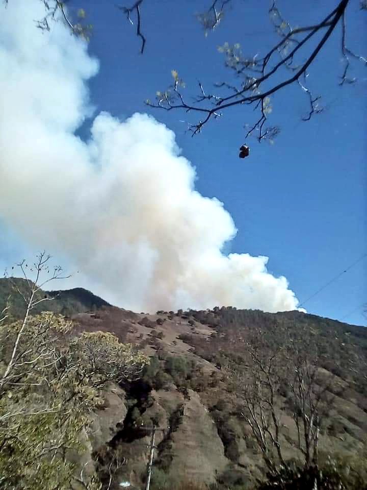 Reportan más de 7 mil hectáreas dañadas por incendios forestales en la entidad