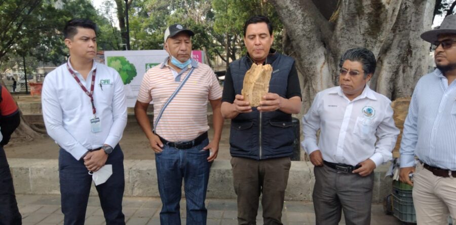 Realizarán foro sobre el medio ambiente