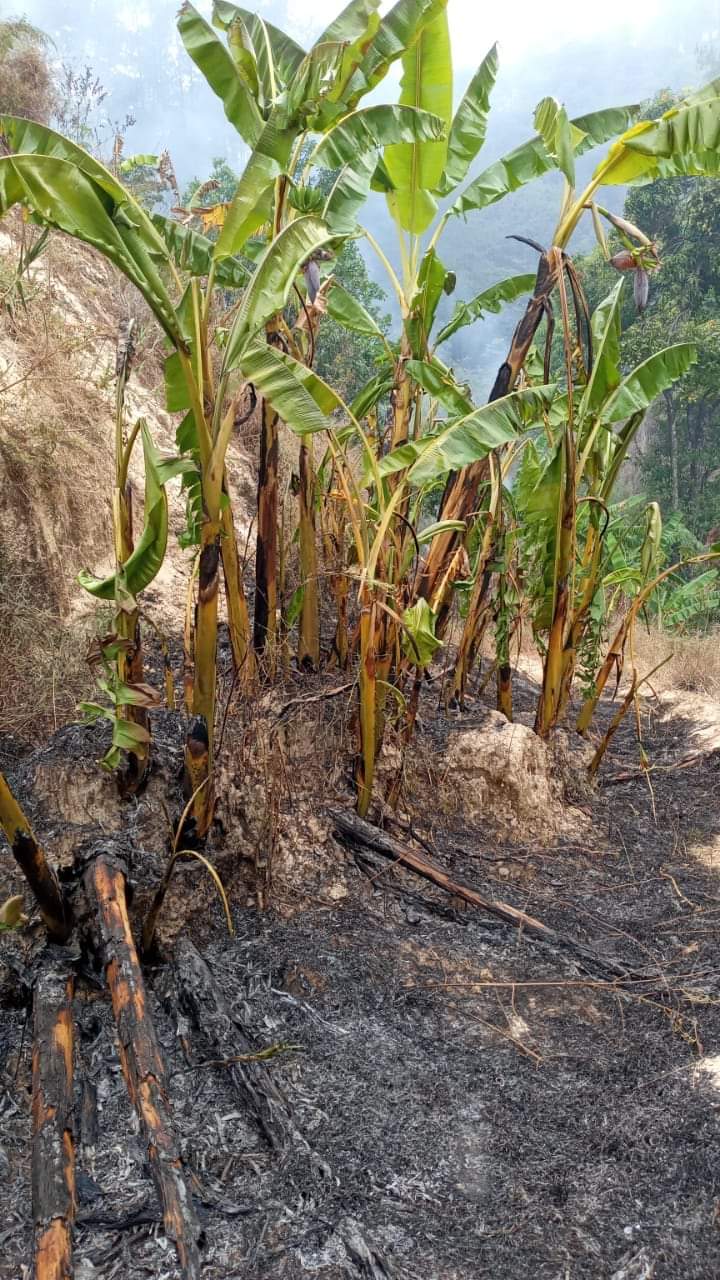 Denuncia nuevamente el MULT ataques por parte del MULTI