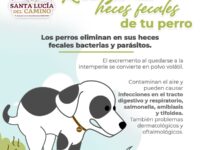 Ayuntamiento de Santa Lucía del Camino promueve cuidado responsable de animales de compañía