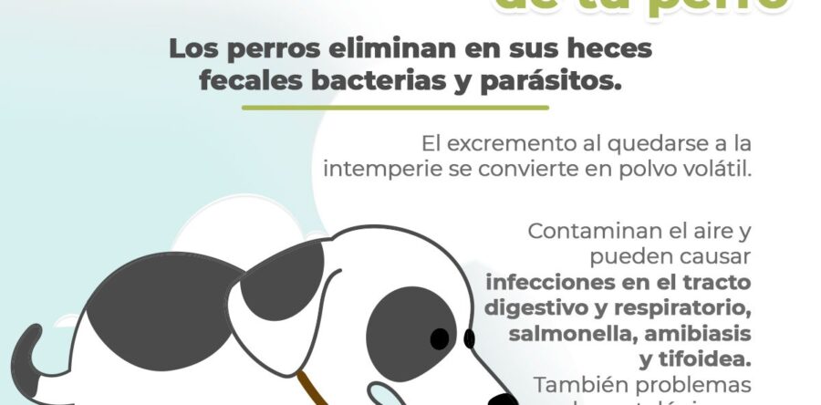 Ayuntamiento de Santa Lucía del Camino promueve cuidado responsable de animales de compañía