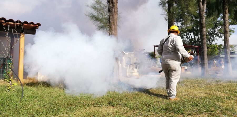 En temporada de lluvia, vital la limpieza en los hogares para combatir al dengue: SSO
