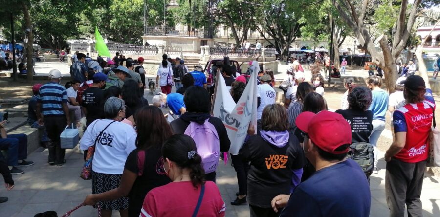 Realizan marcha contra el maltrato animal
