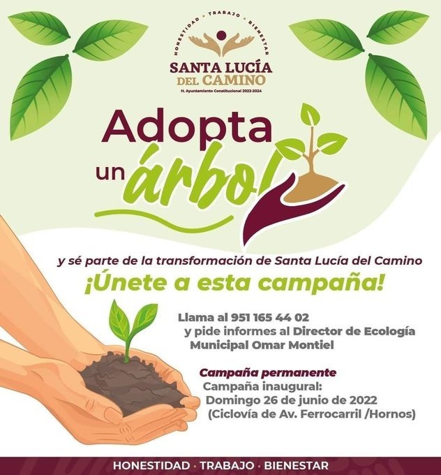 Súmate a la transformación de Santa Lucía del Camino, adoptando un árbol