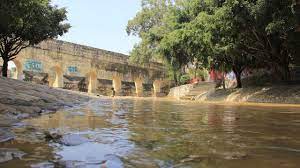 Convirtamos crisis en crecimiento y desarrollo; reactivemos economía: Alfredo Martínez de Aguilar