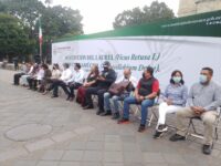 Colocan un Guamúchil en el zócalo de la ciudad que sustituirá al Laurel que cayó por las lluvias