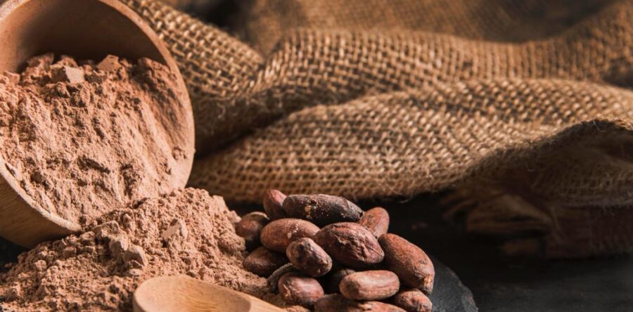 Oaxaca, sede de la celebración del Día Nacional del Cacao y el Chocolate