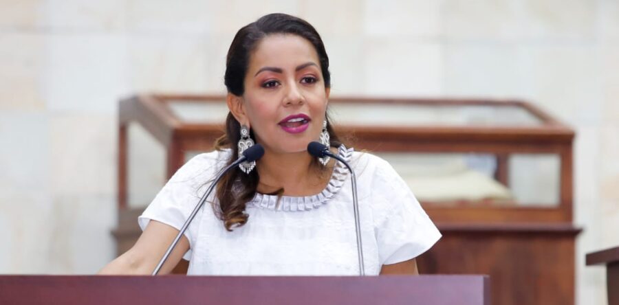 Un deber impostergable la atención gratuita de salud para las y los oaxaqueños: Mariana Benítez
