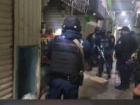 Mueren animales intoxicados al interior del Mercado Benito Juárez