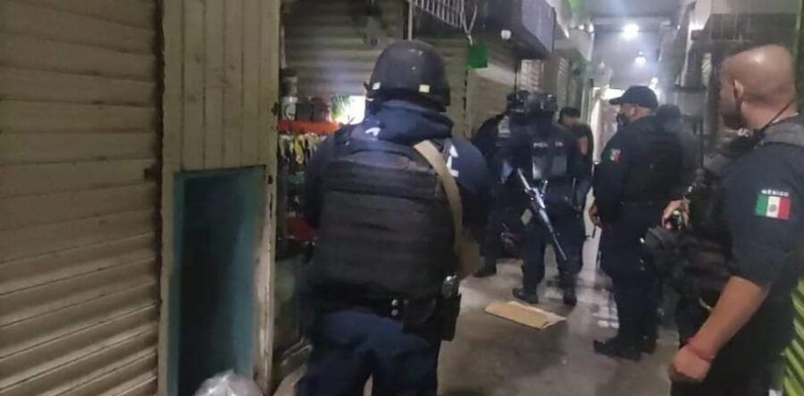 Mueren animales intoxicados al interior del Mercado Benito Juárez