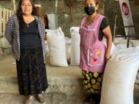 Gestiona PRI maíz a bajo costo para familias oaxaqueñas.
