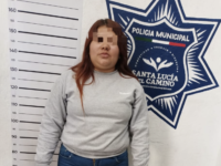 Detenida por resistencia de particulares en Santa Lucía del Camino