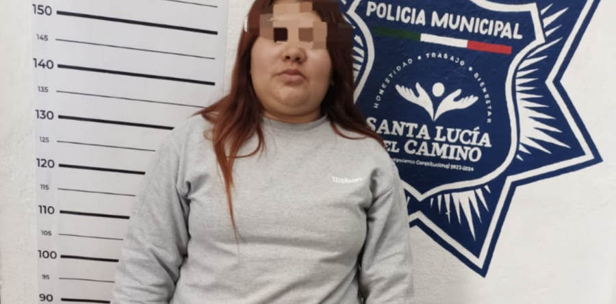 Detenida por resistencia de particulares en Santa Lucía del Camino