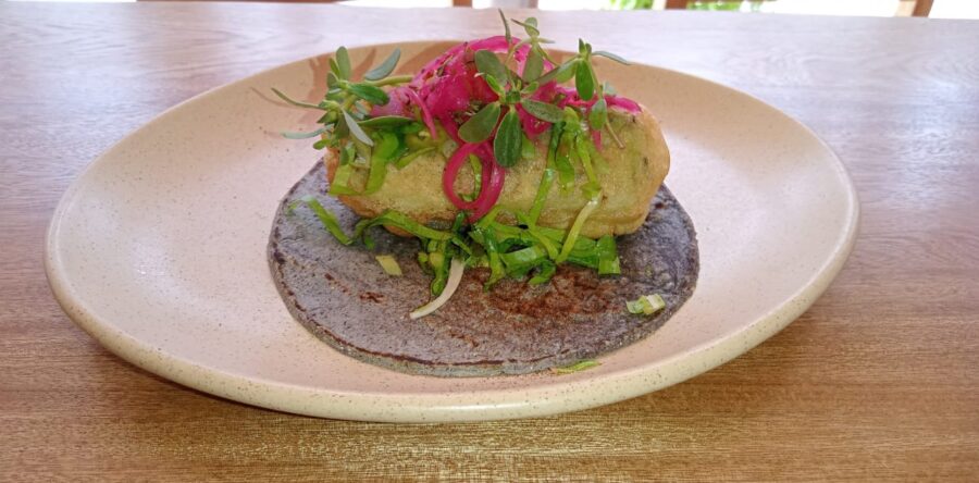 Celebra los colores y sabores de las fiestas patrias en Oaxaca