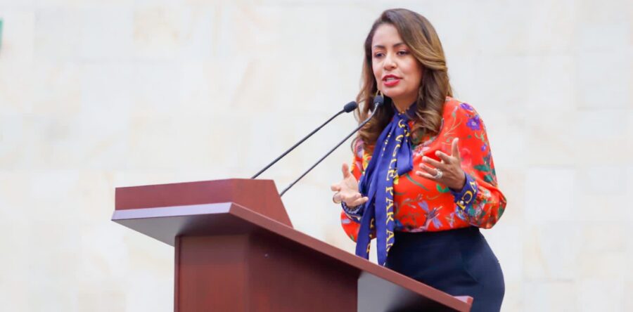 Impulsa Mariana Benítez reformas en materia de seguridad eléctrica en beneficio de las y los oaxaqueños