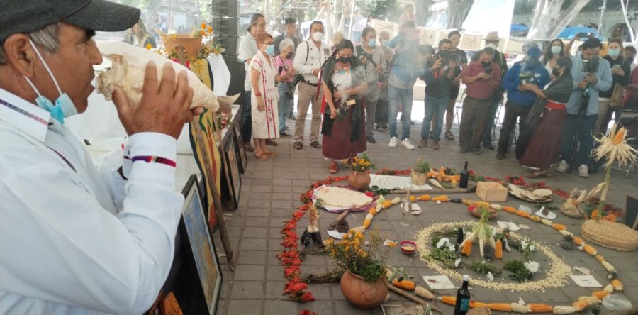 Conmemoran el Día Nacional del Maíz en el zócalo de Oaxaca de Juárez