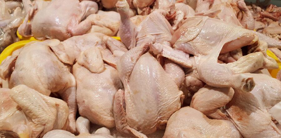 Precio alto del pollo es por culpa de intermediarios, acusan productores