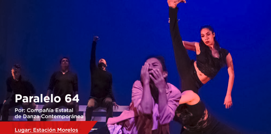 Inicia la 24 MIDO con las presentaciones Genealogías femeninas y Paralelo 64