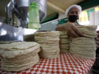 Plan contra inflación de AMLO no hará que baje el precio de la tortilla: Red de Maíz