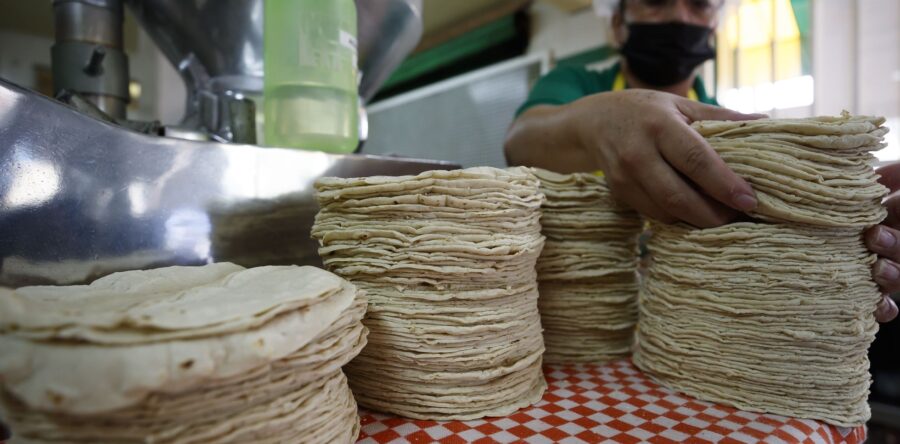 Plan contra inflación de AMLO no hará que baje el precio de la tortilla: Red de Maíz