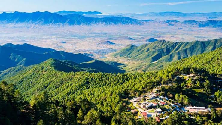 Emboscan y matan a 2 pobladores de San Miguel Tiltepec en la Sierra Norte