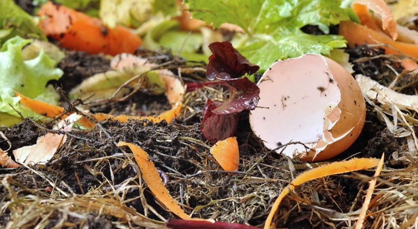 Basura orgánica: caldo de cultivo: Carlos R. Aguilar Jiménez