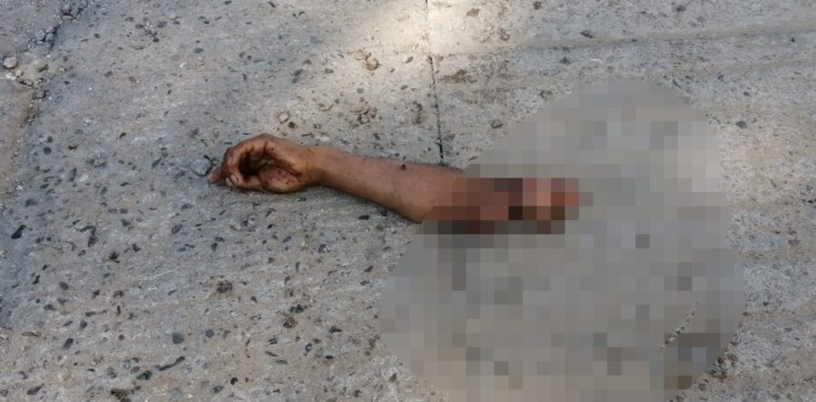 Perro se paseaba con brazo humano en calles de San Martín Mexicapan