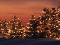 Música para Navidad (III)| Ismael Ortiz Romero Cuevas