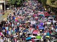 Marcha la Sección 22 para fijar su postura ante el nuevo gobierno