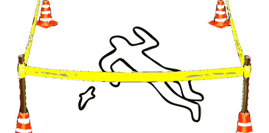 El caso Ciro y la crisis de seguridad interior pública | Carlos Ramírez