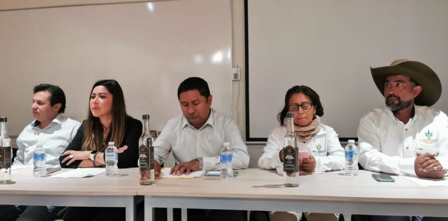 Piden mezcaleros no afectar a este sector