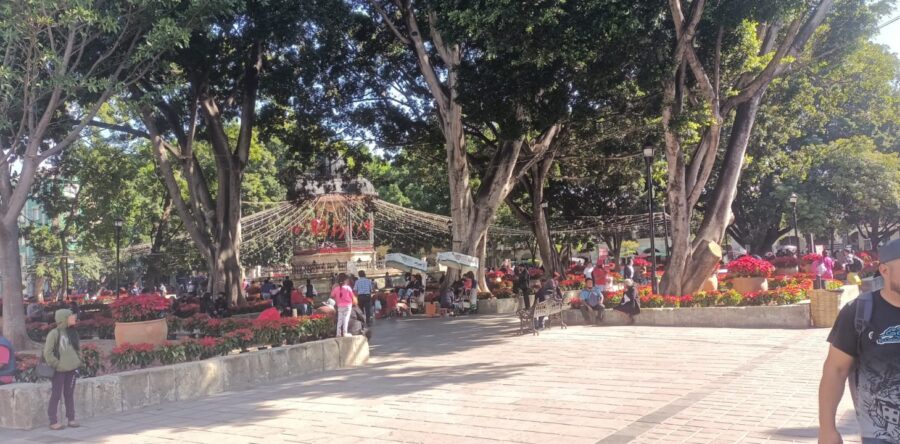 Ayuntamiento capitalino rehabilitará la Alameda y el Zócalo Capitalino