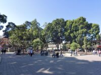 Orden y disfrute, distingue a la cotidianeidad en el Zócalo Capitalino